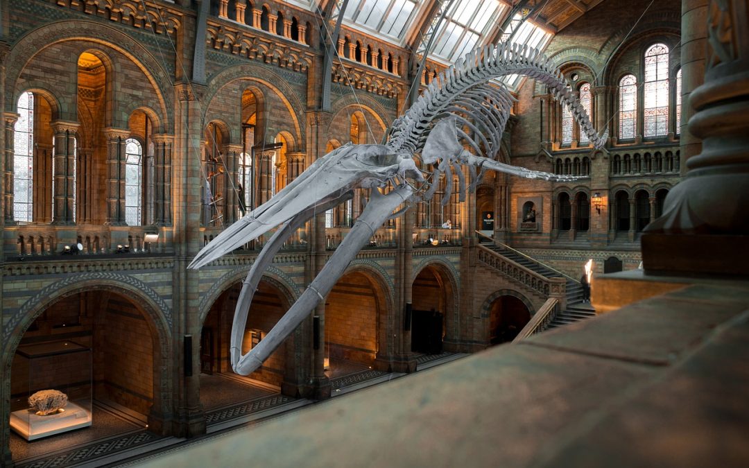 Europe’s Top 10 Kids Activities In London